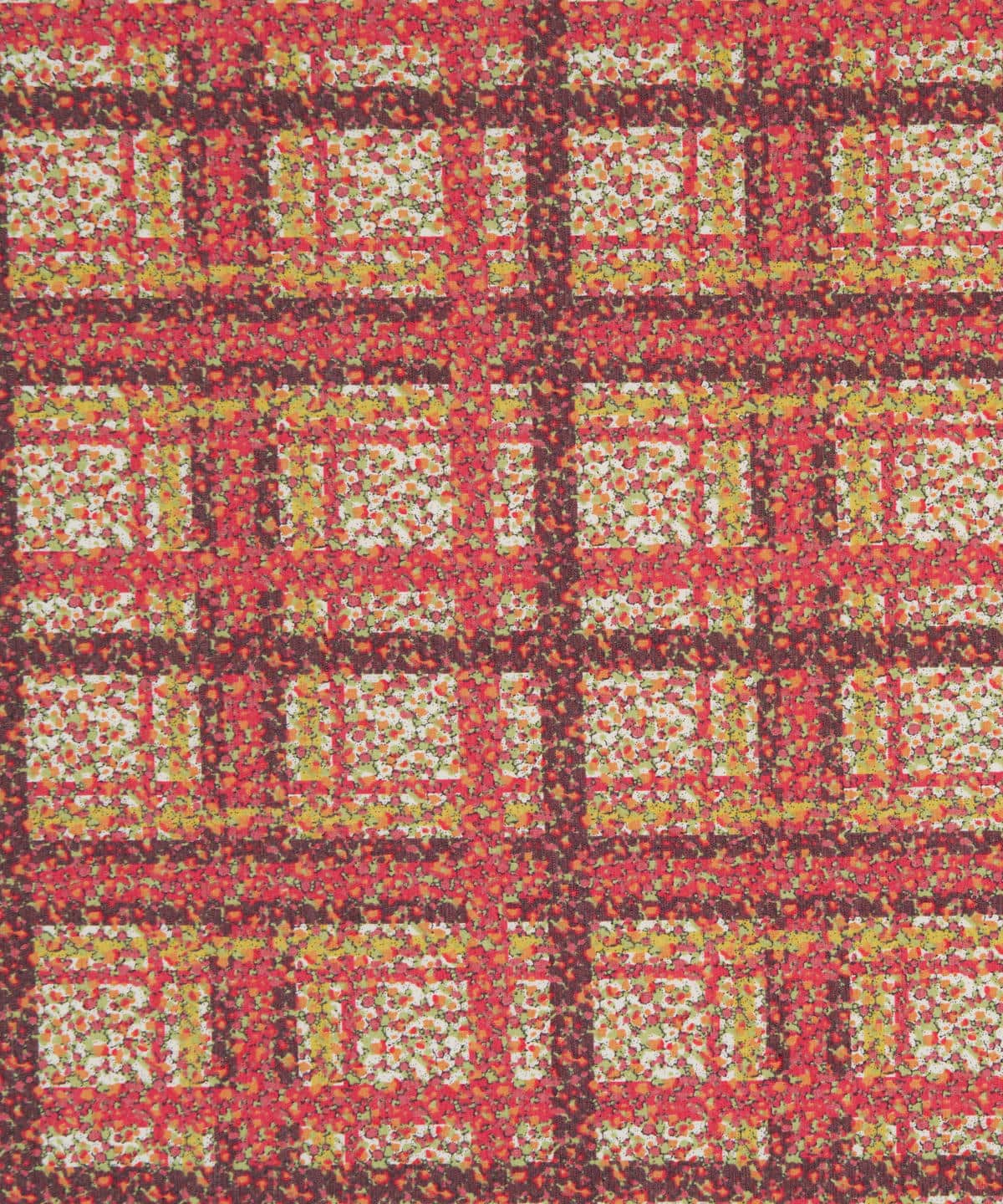 コバイン イズリントン・ブロード