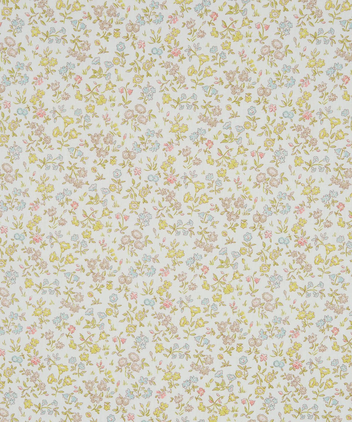 メドゥ・スウィート タナローン