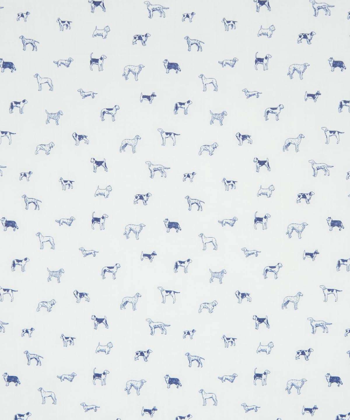 マンズ・ベスト・フレンド タナローン