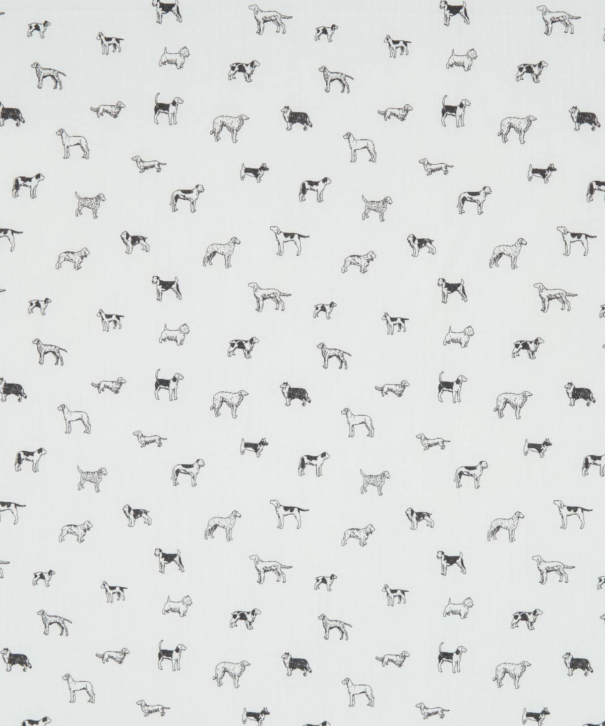 マンズ・ベスト・フレンド タナローン