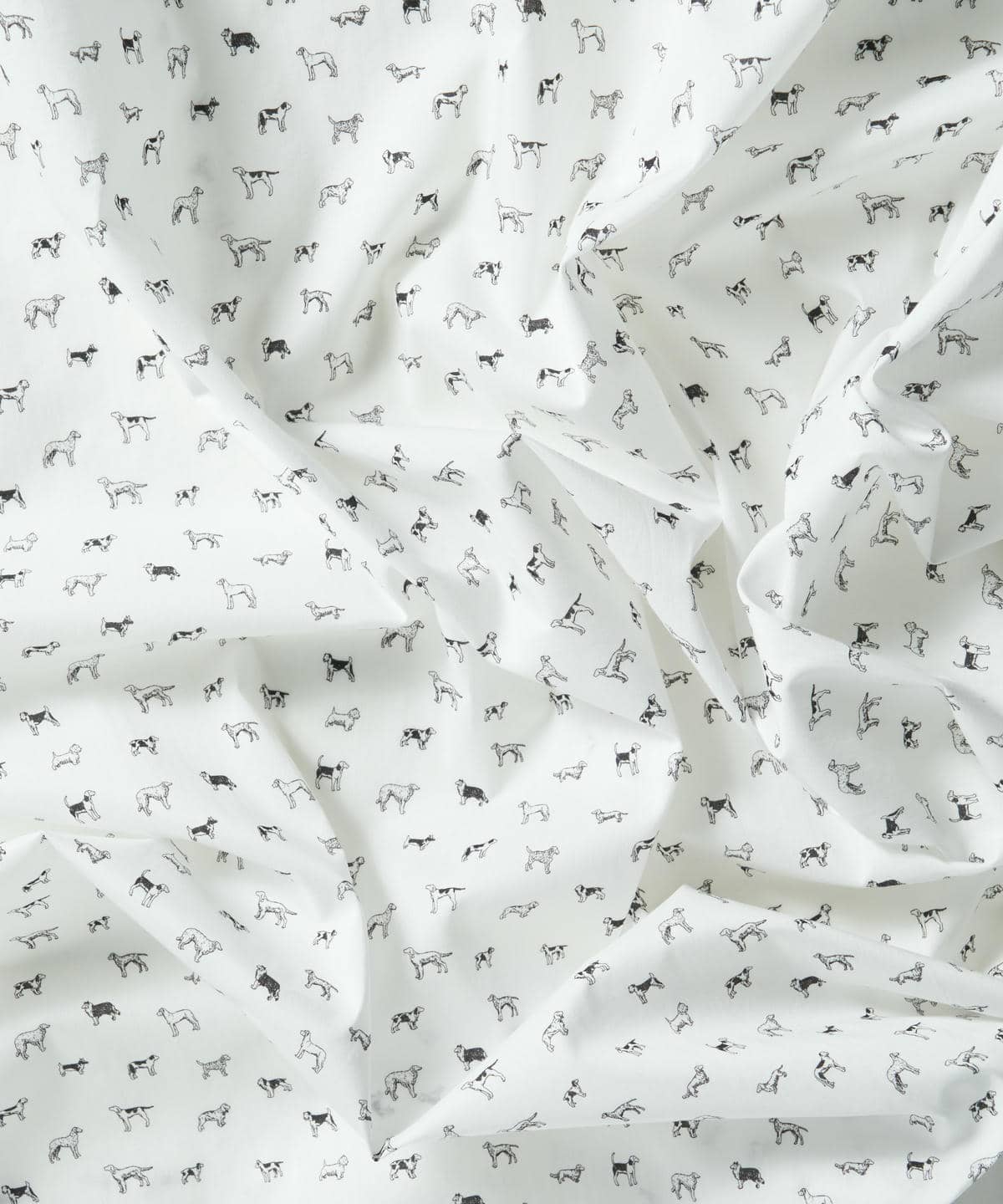 マンズ・ベスト・フレンド タナローン