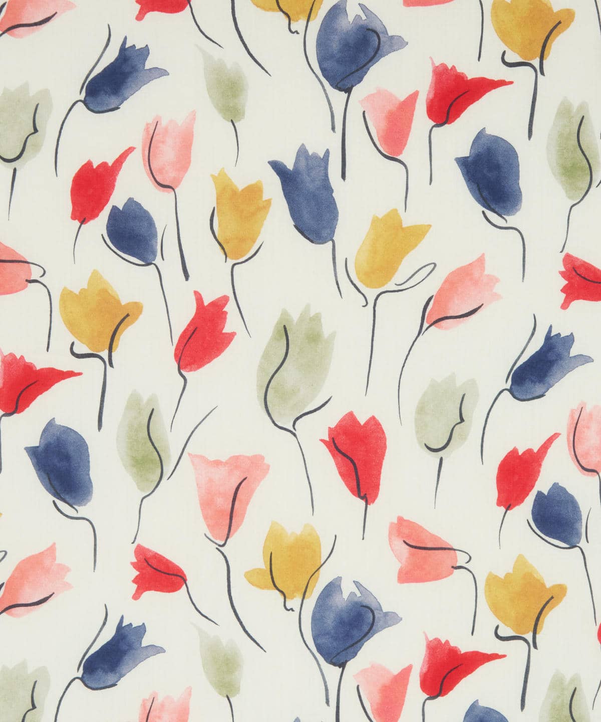 チューリップ・シャドー タナローン