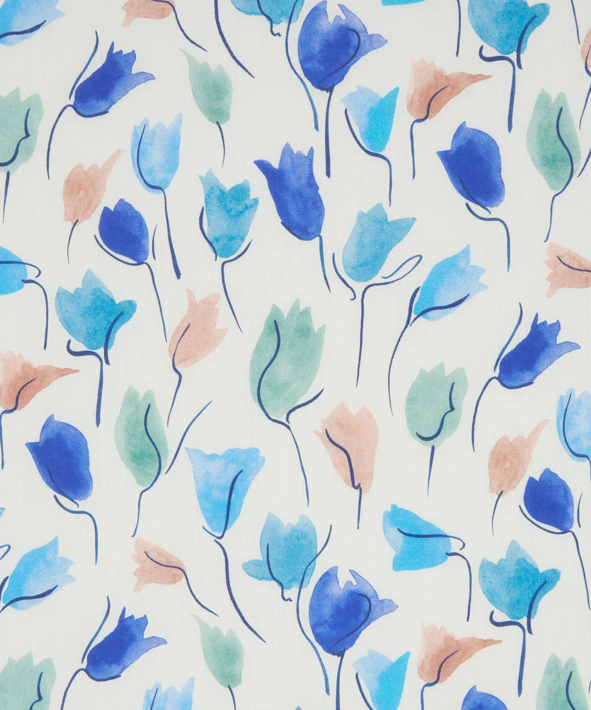 チューリップ・シャドー タナローン