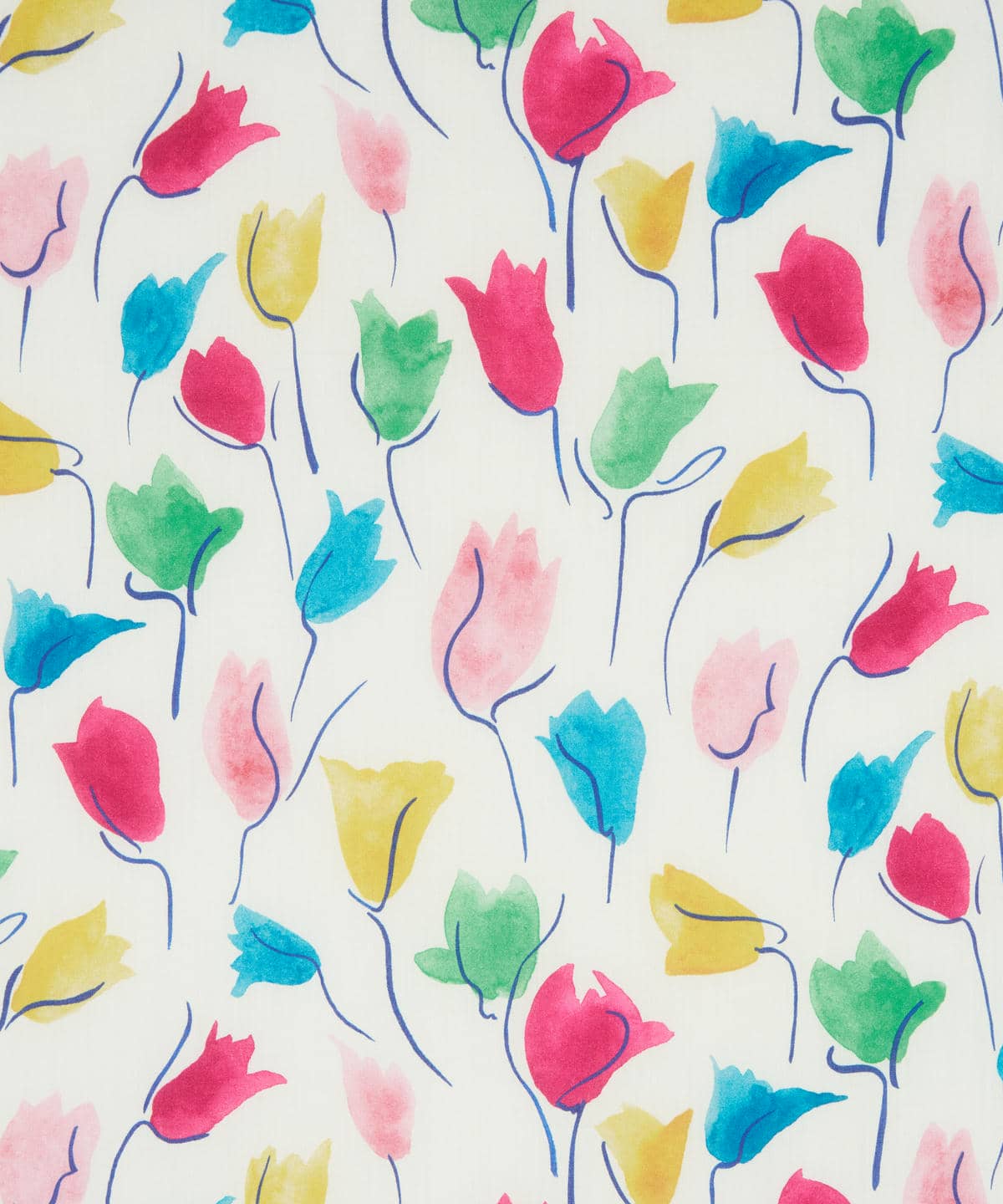 チューリップ・シャドー タナローン