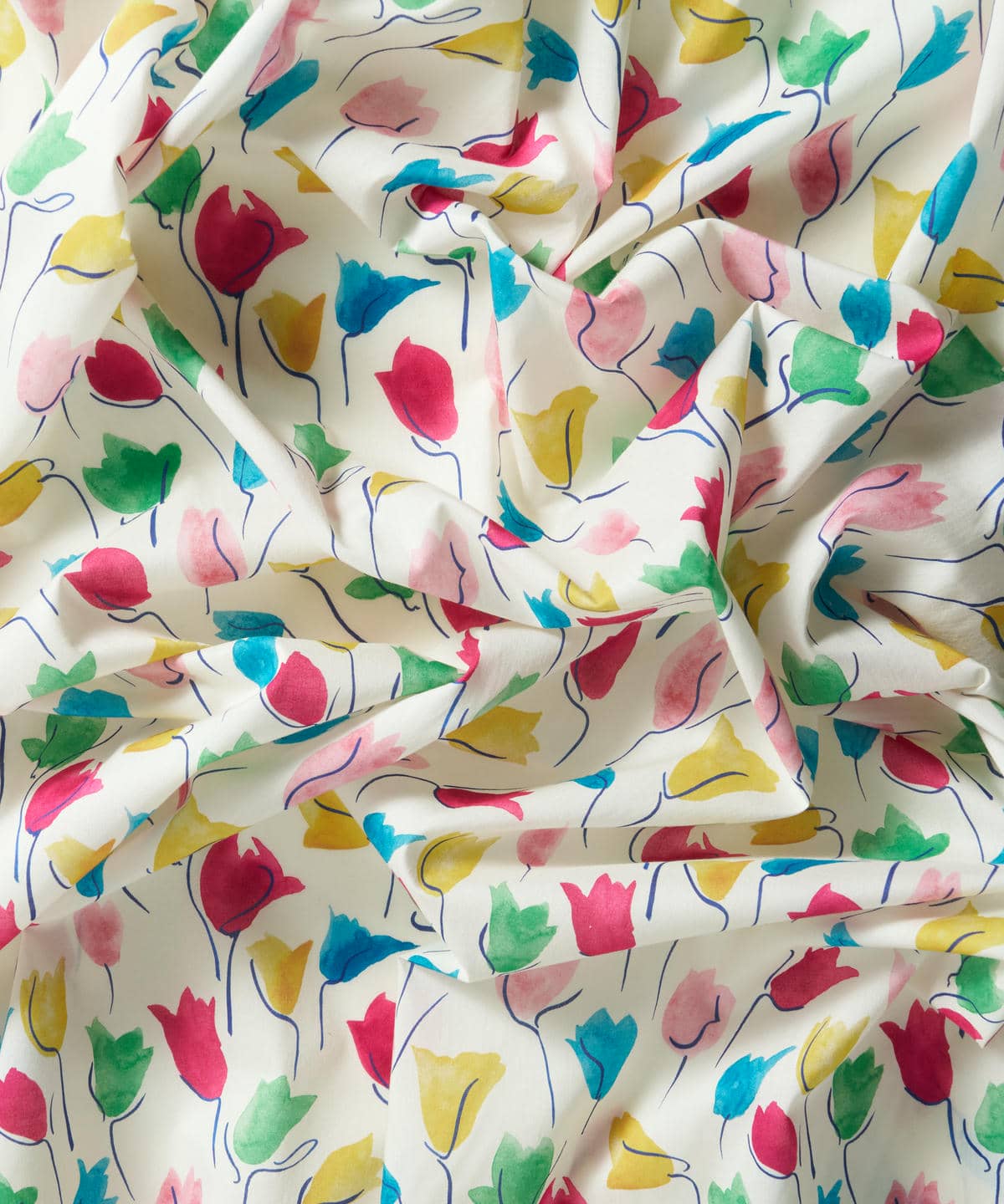 チューリップ・シャドー タナローン