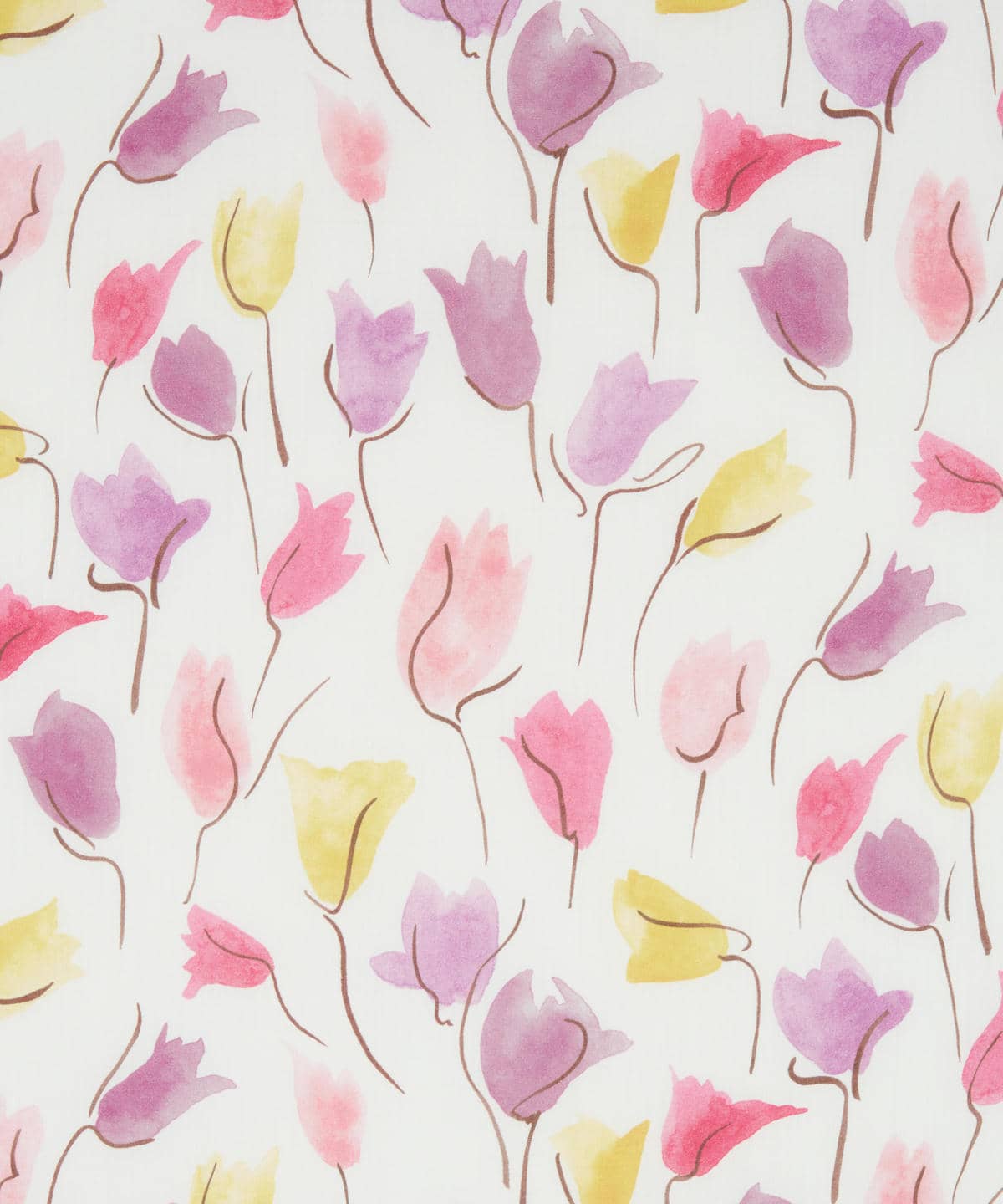 チューリップ・シャドー タナローン