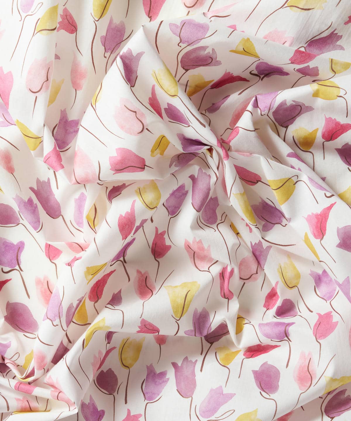 チューリップ・シャドー タナローン