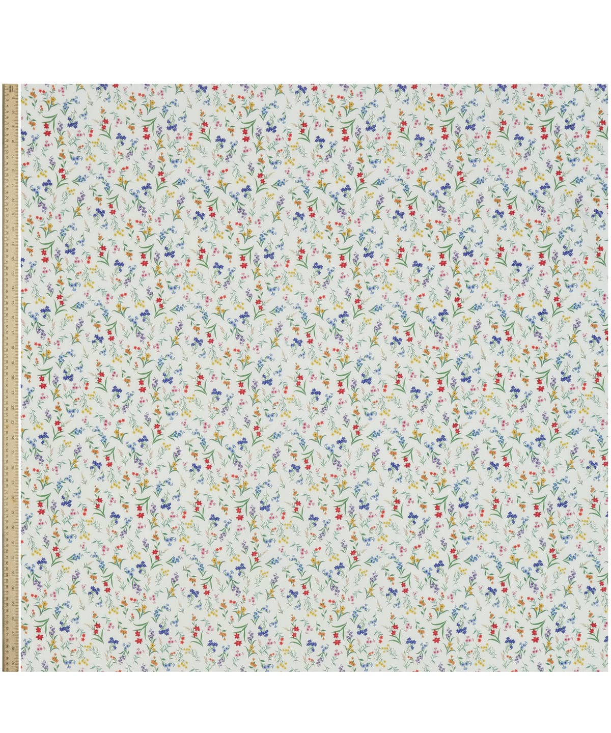 ボタニカル・ディスプレイ タナローン