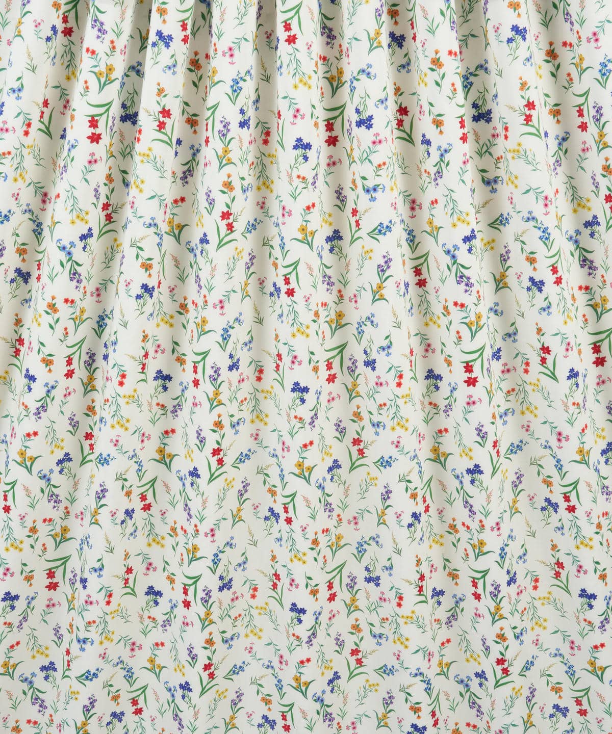 ボタニカル・ディスプレイ タナローン