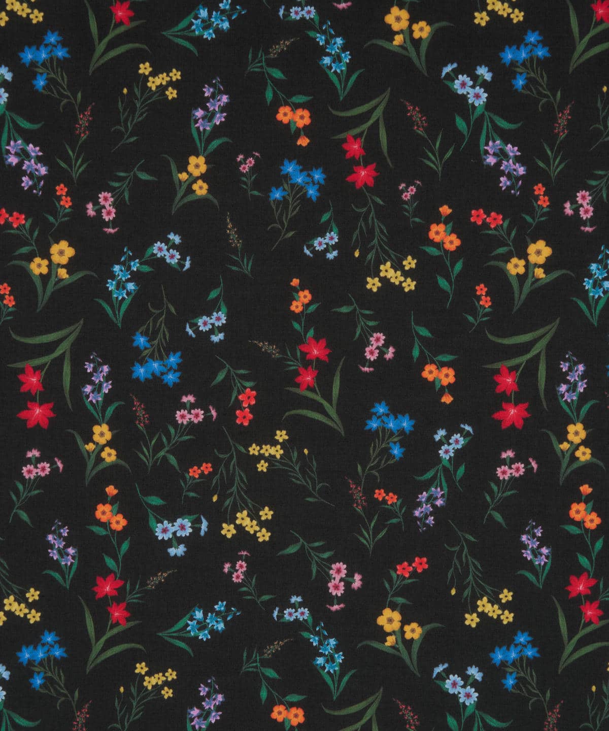 ボタニカル・ディスプレイ タナローン