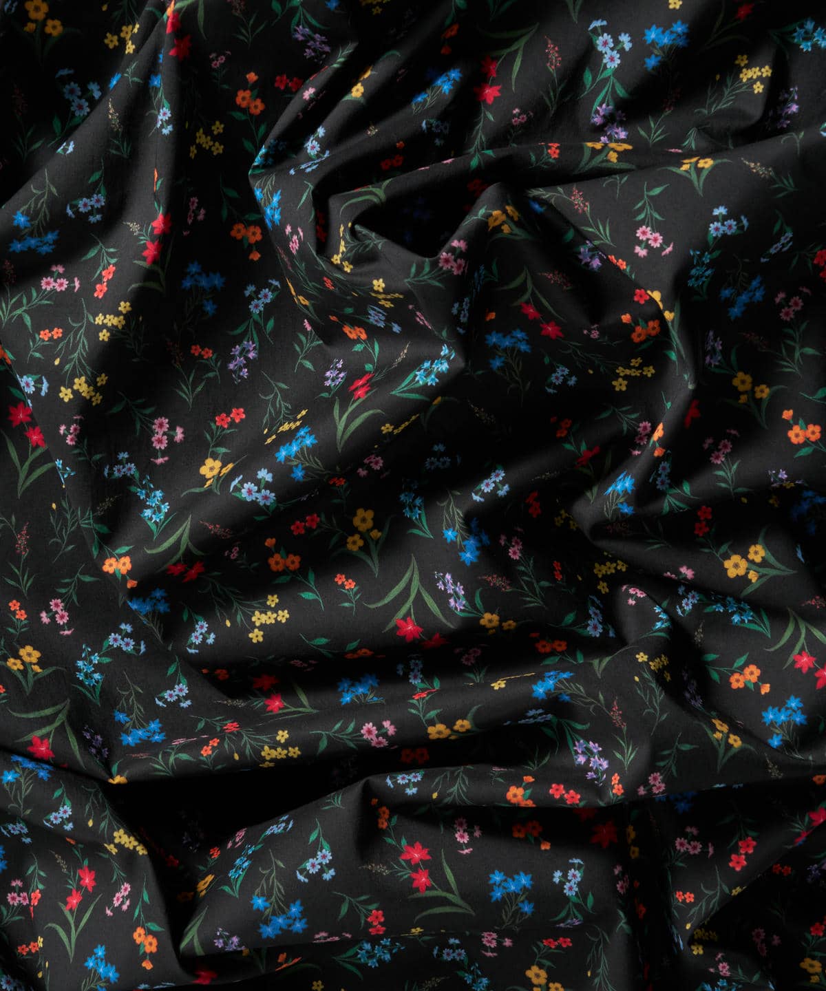 ボタニカル・ディスプレイ タナローン