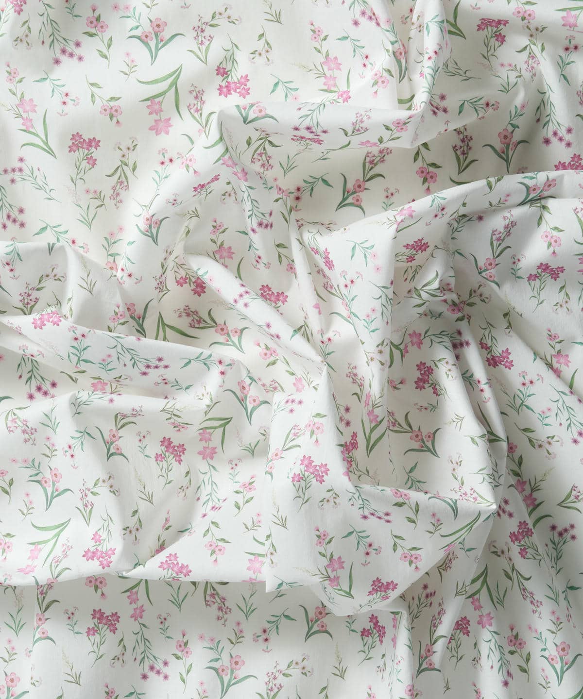 ボタニカル・ディスプレイ タナローン