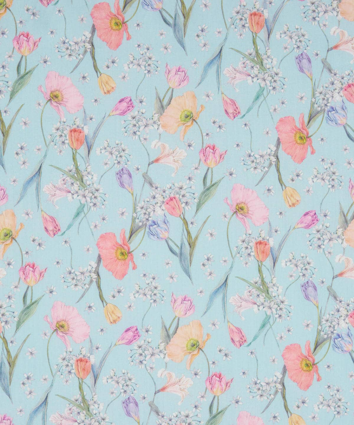 スプリング・ブルームス タナローン