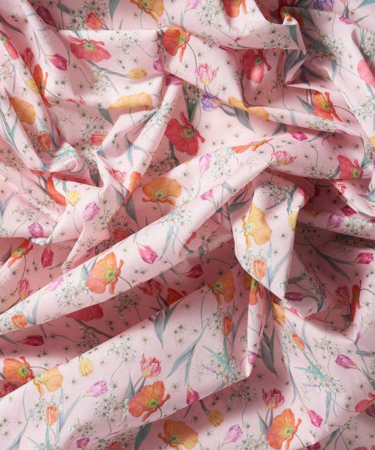 スプリング・ブルームス タナローン