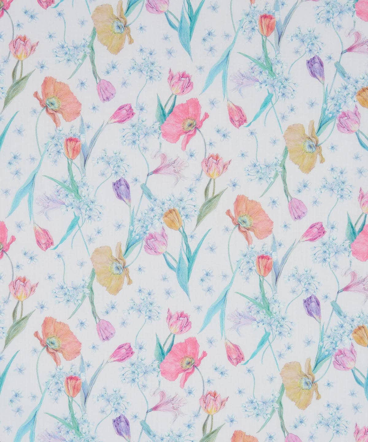 スプリング・ブルームス タナローン