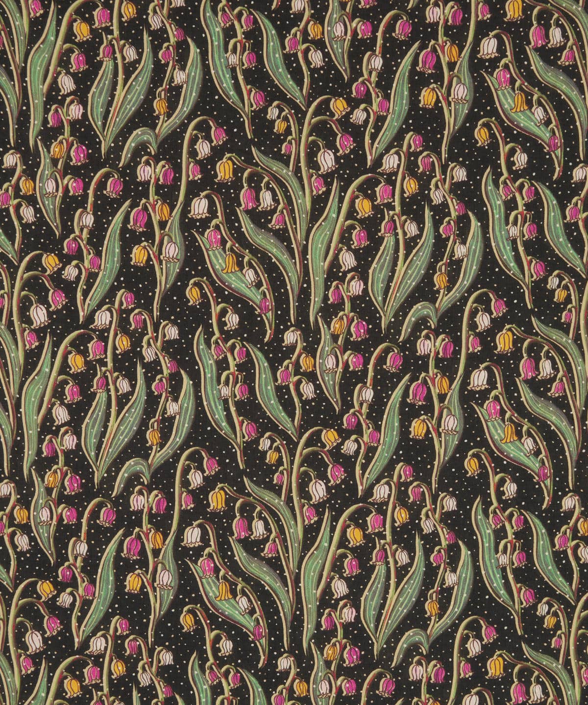 キエロ タナローン