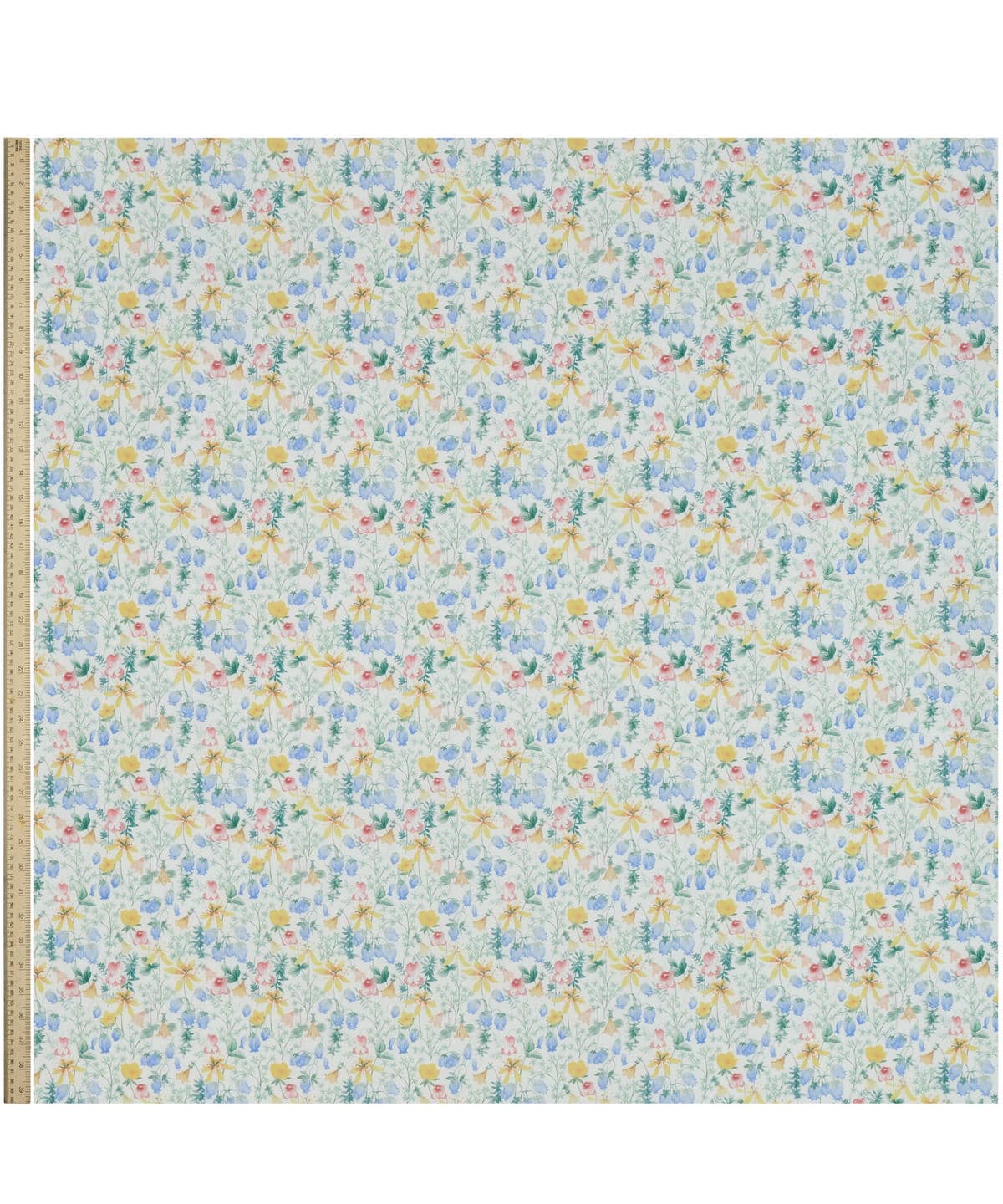 ハクバ タナローン