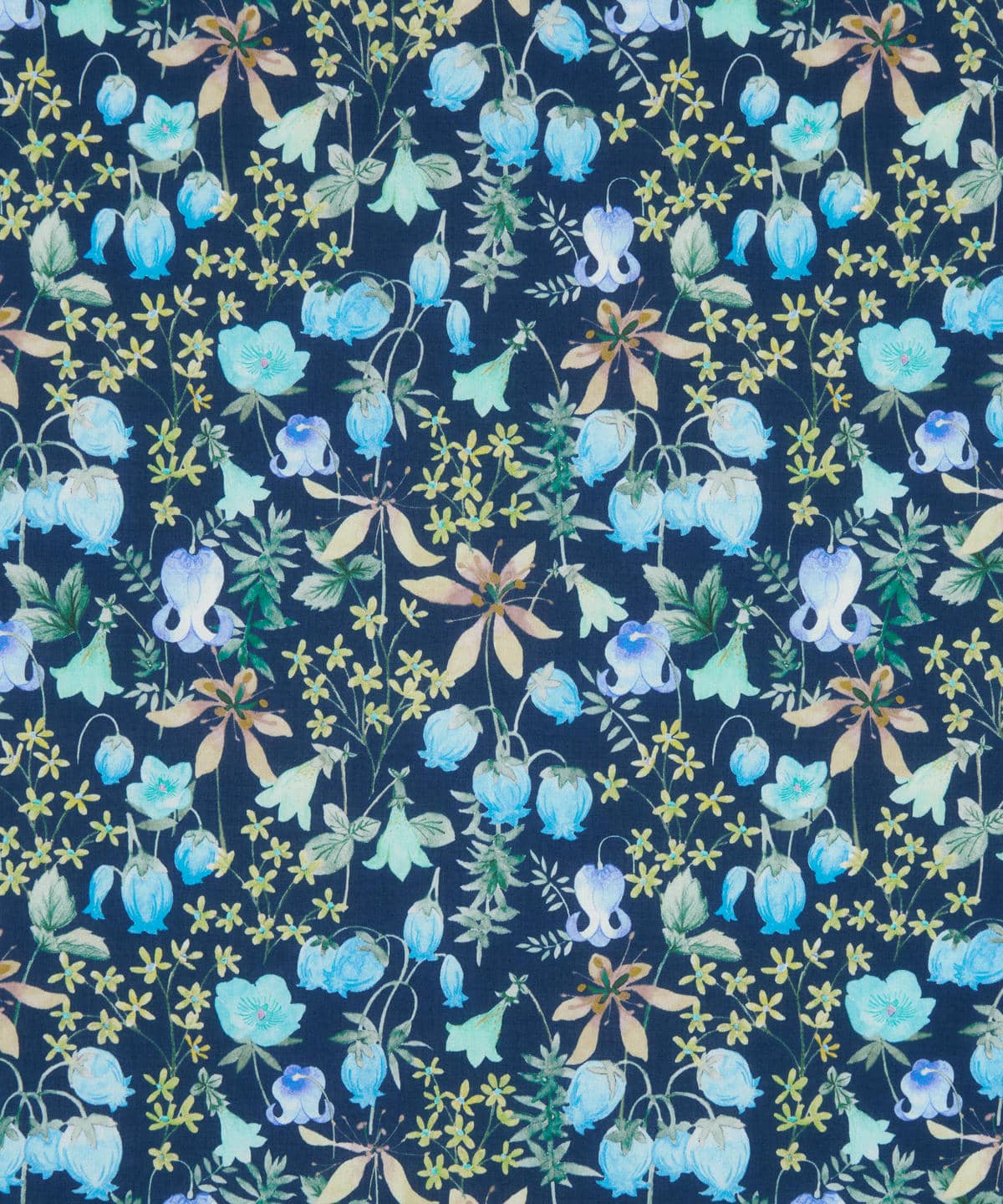 ハクバ タナローン