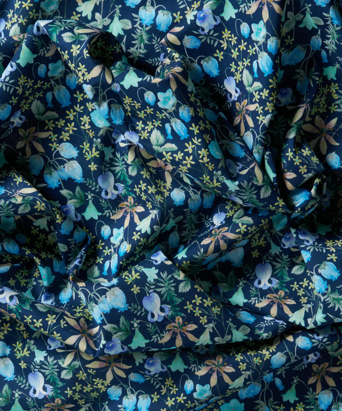 ハクバ タナローン