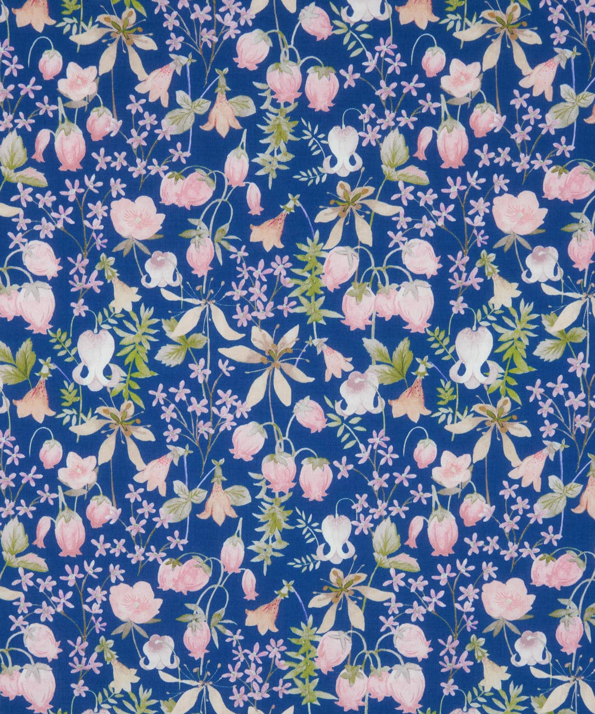 ハクバ タナローン