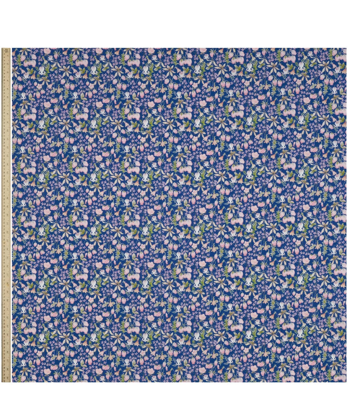 ハクバ タナローン