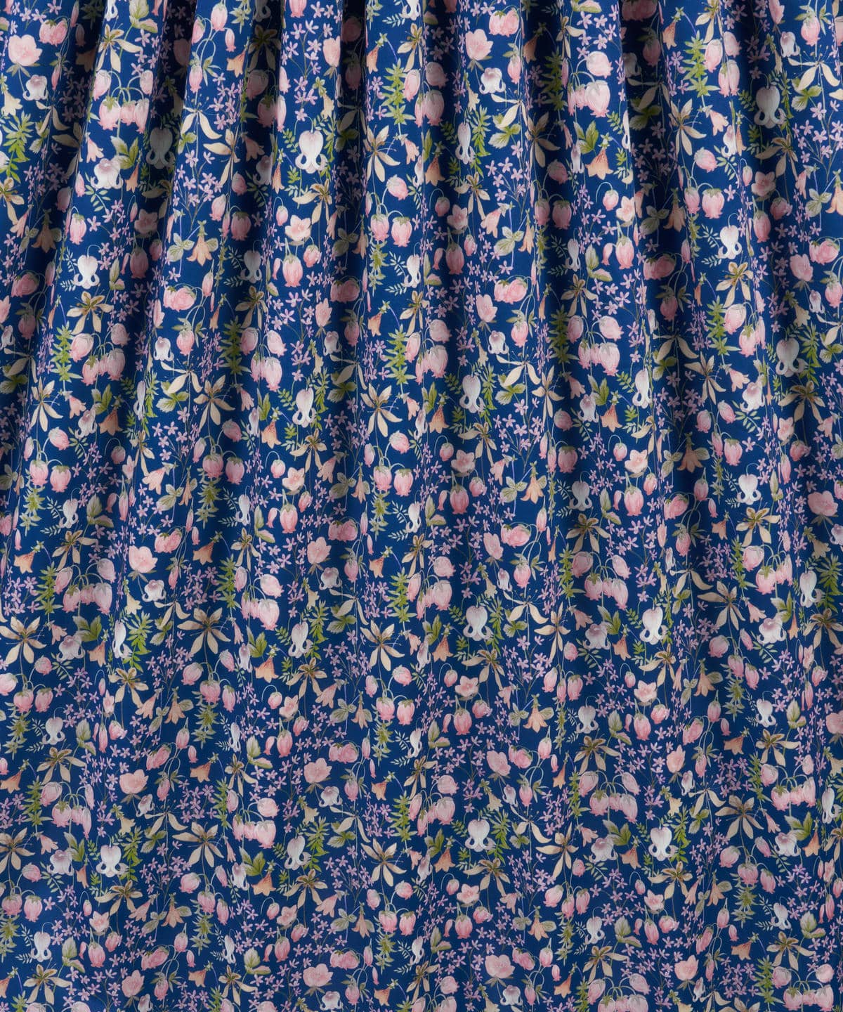 ハクバ タナローン