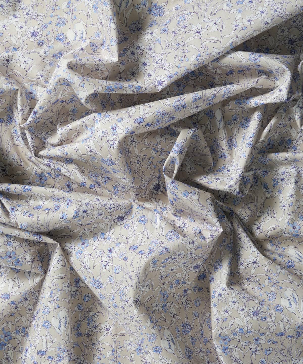 ワンダーフォーゲル タナローン