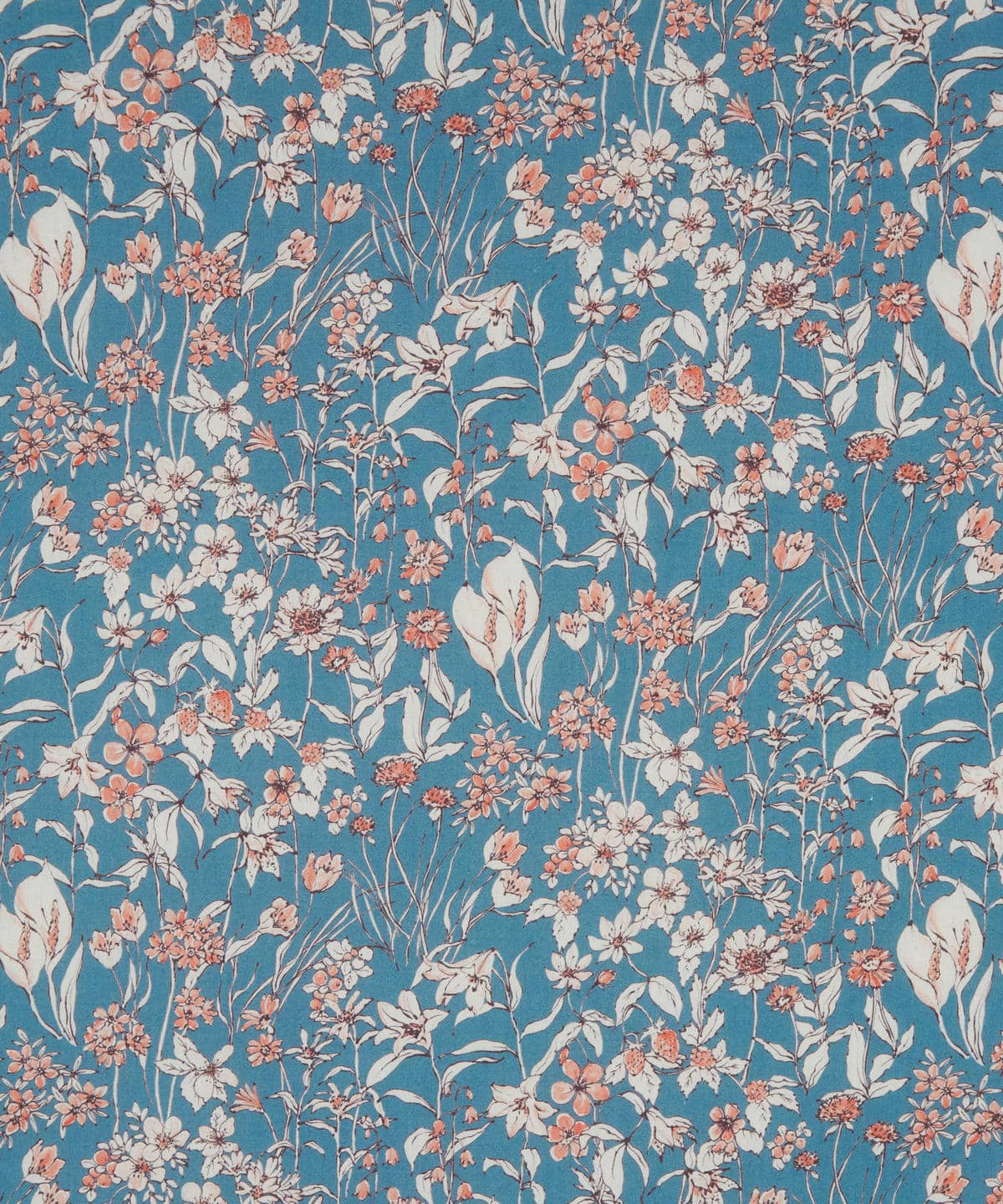 ワンダーフォーゲル タナローン