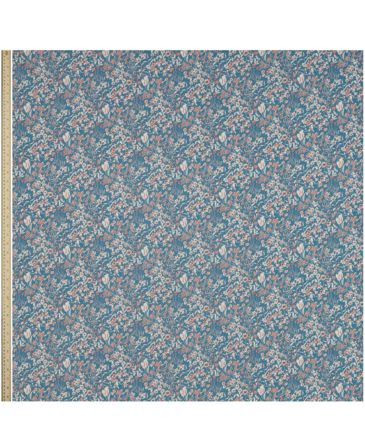 ワンダーフォーゲル タナローン