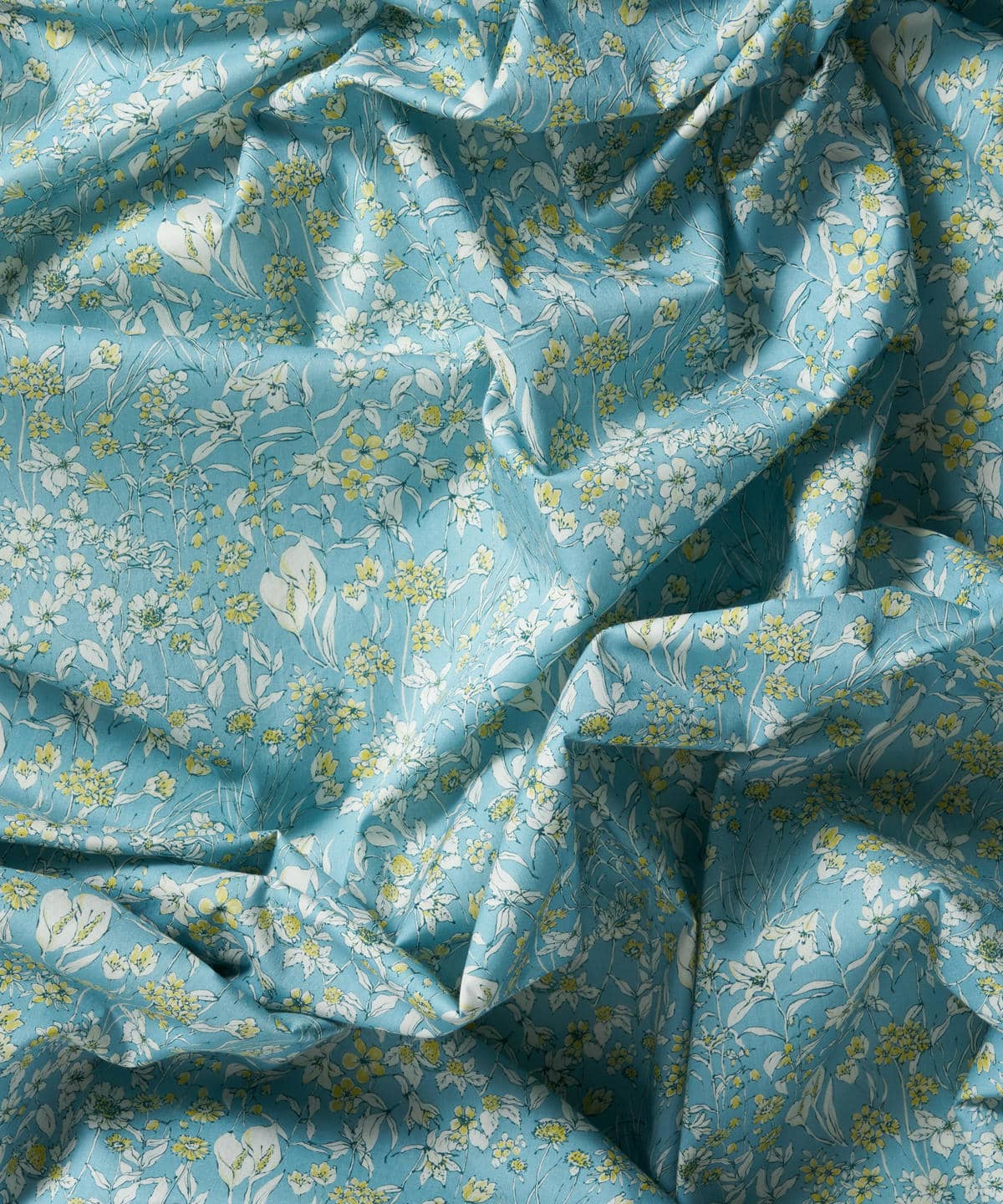 ワンダーフォーゲル タナローン