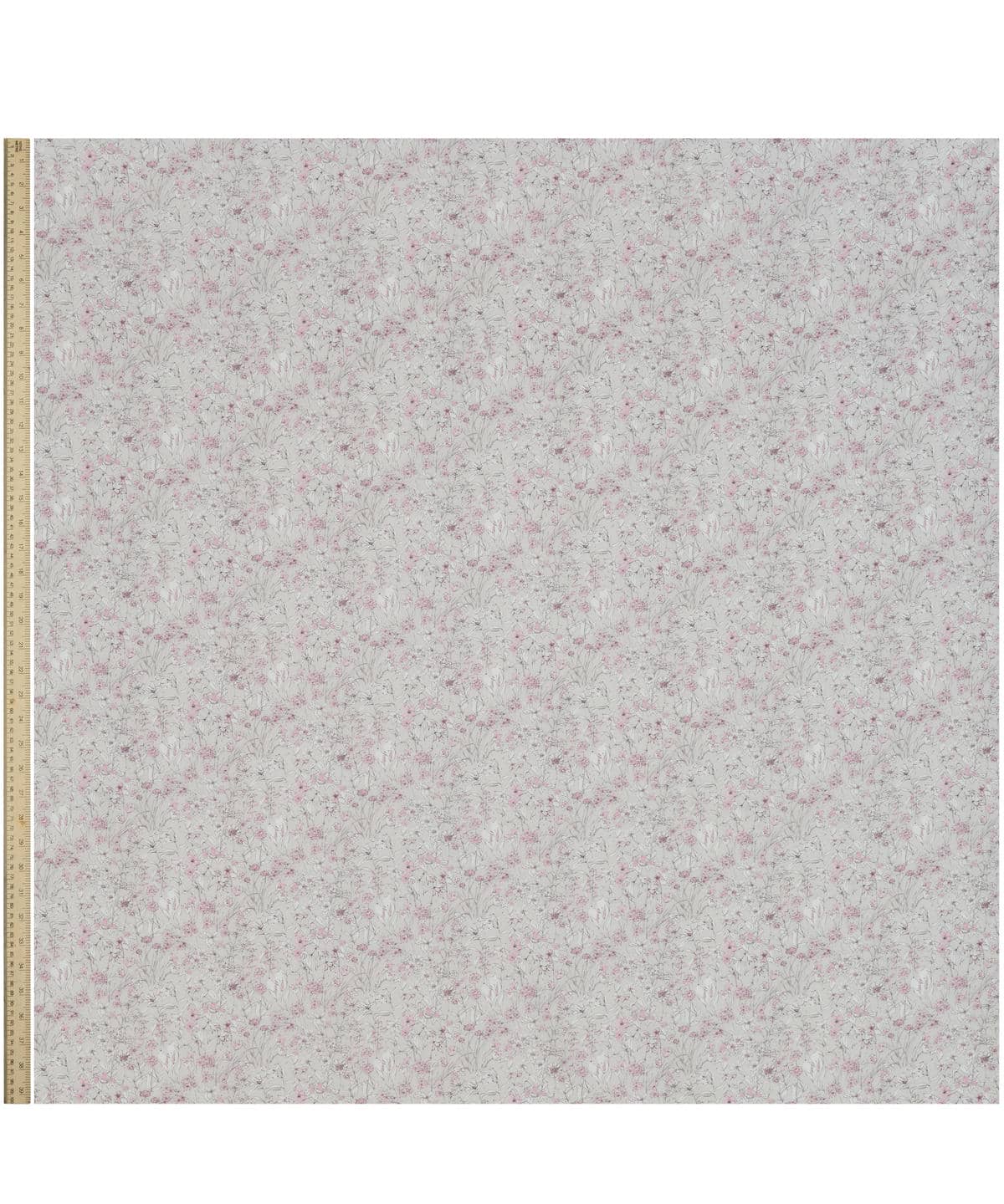 ワンダーフォーゲル タナローン