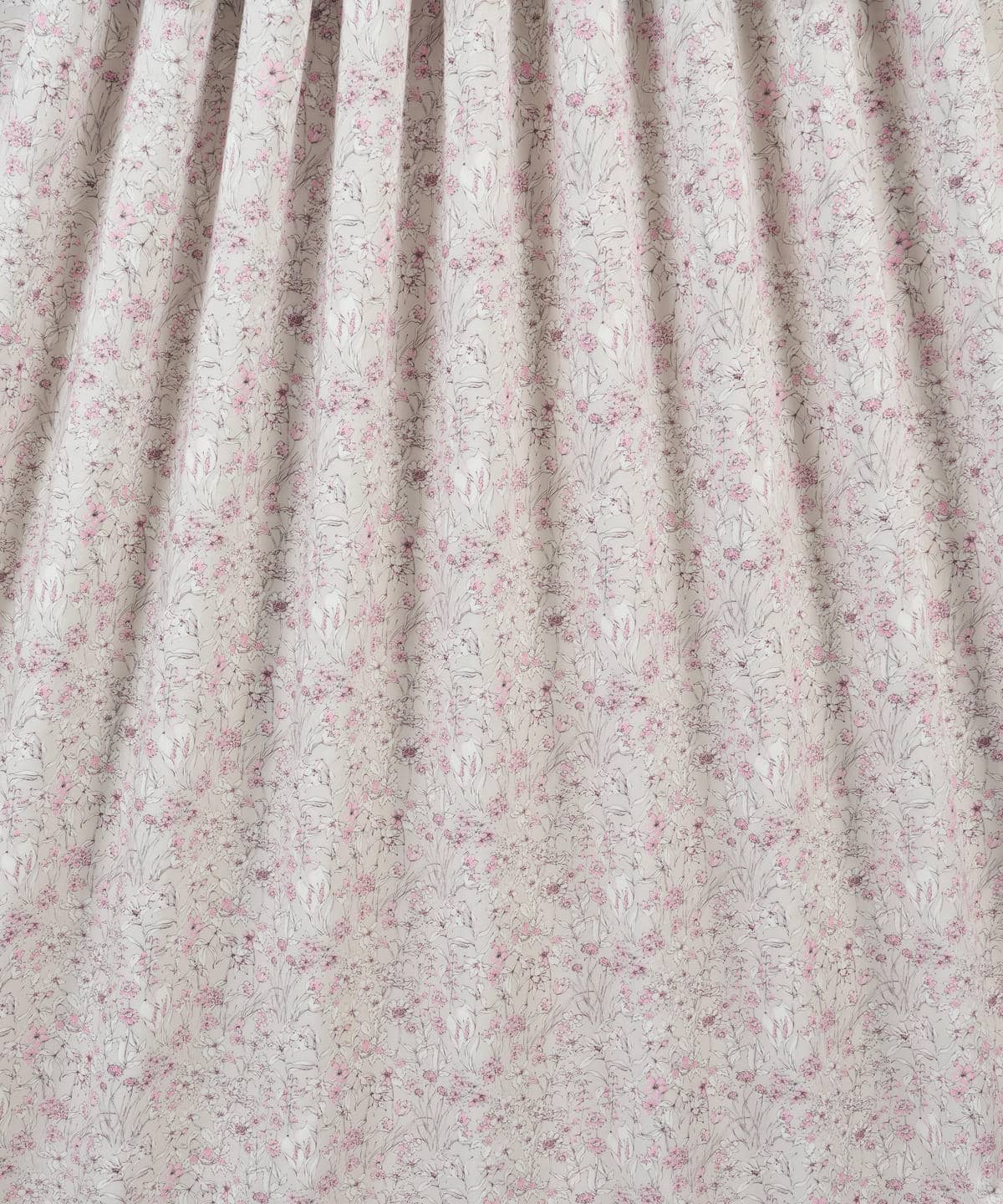 ワンダーフォーゲル タナローン