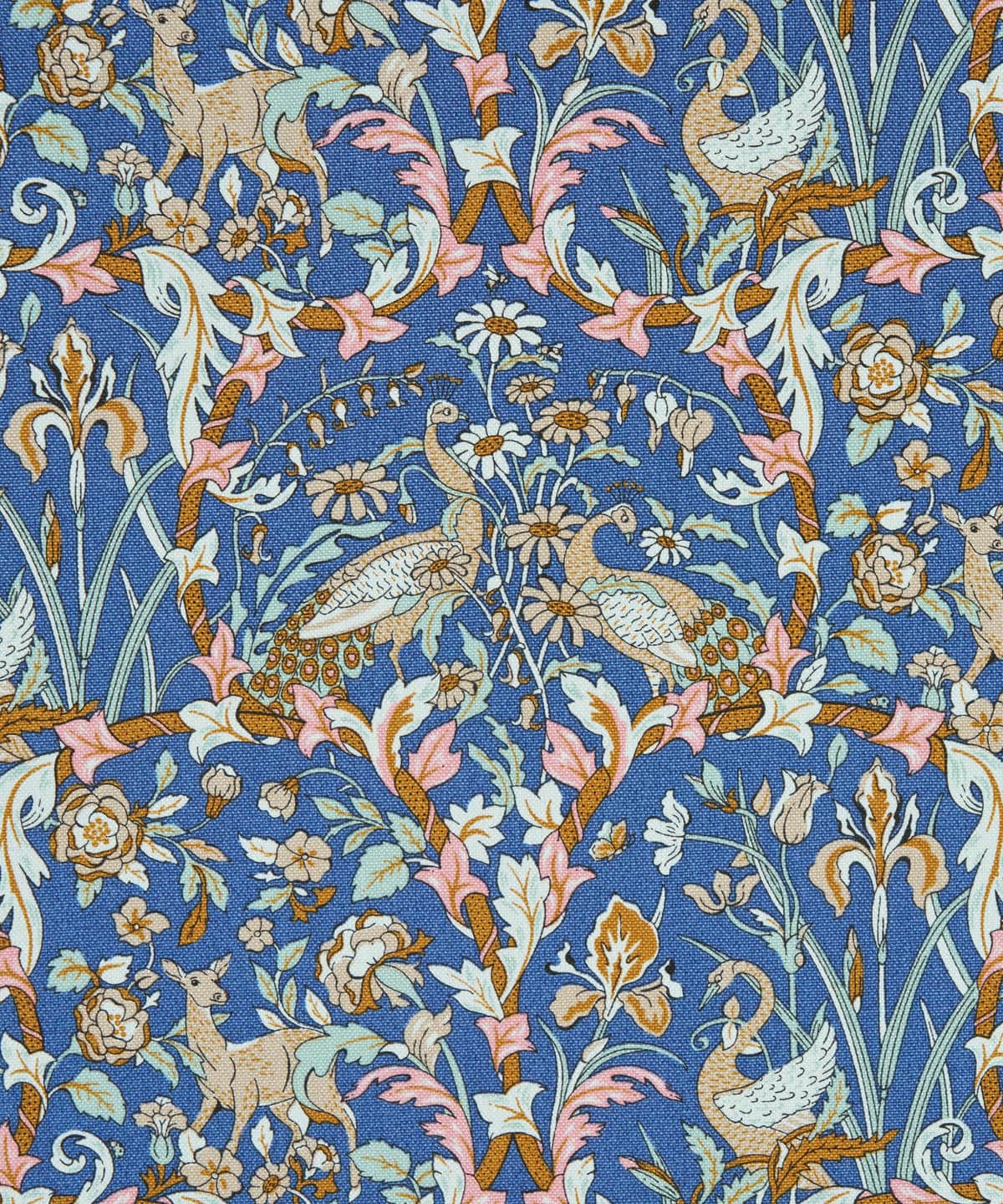 ジョーン ニュー・コットン・キャンバス