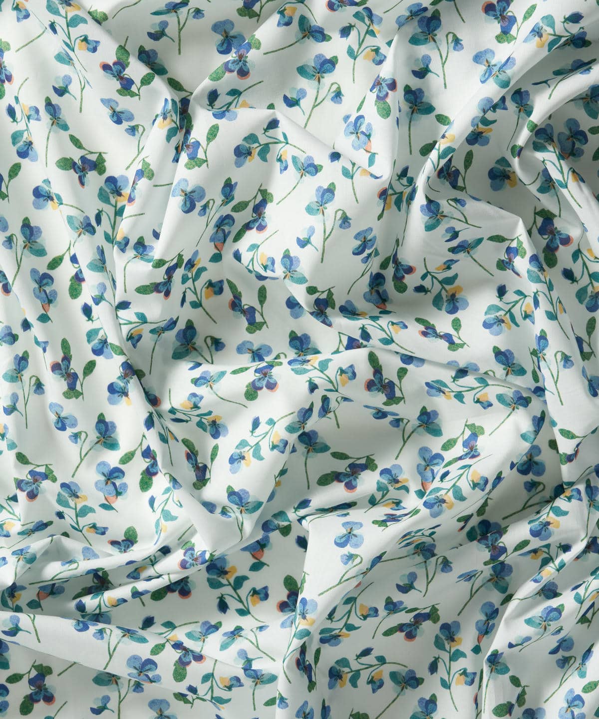 パンジー・スキャッター タナローン