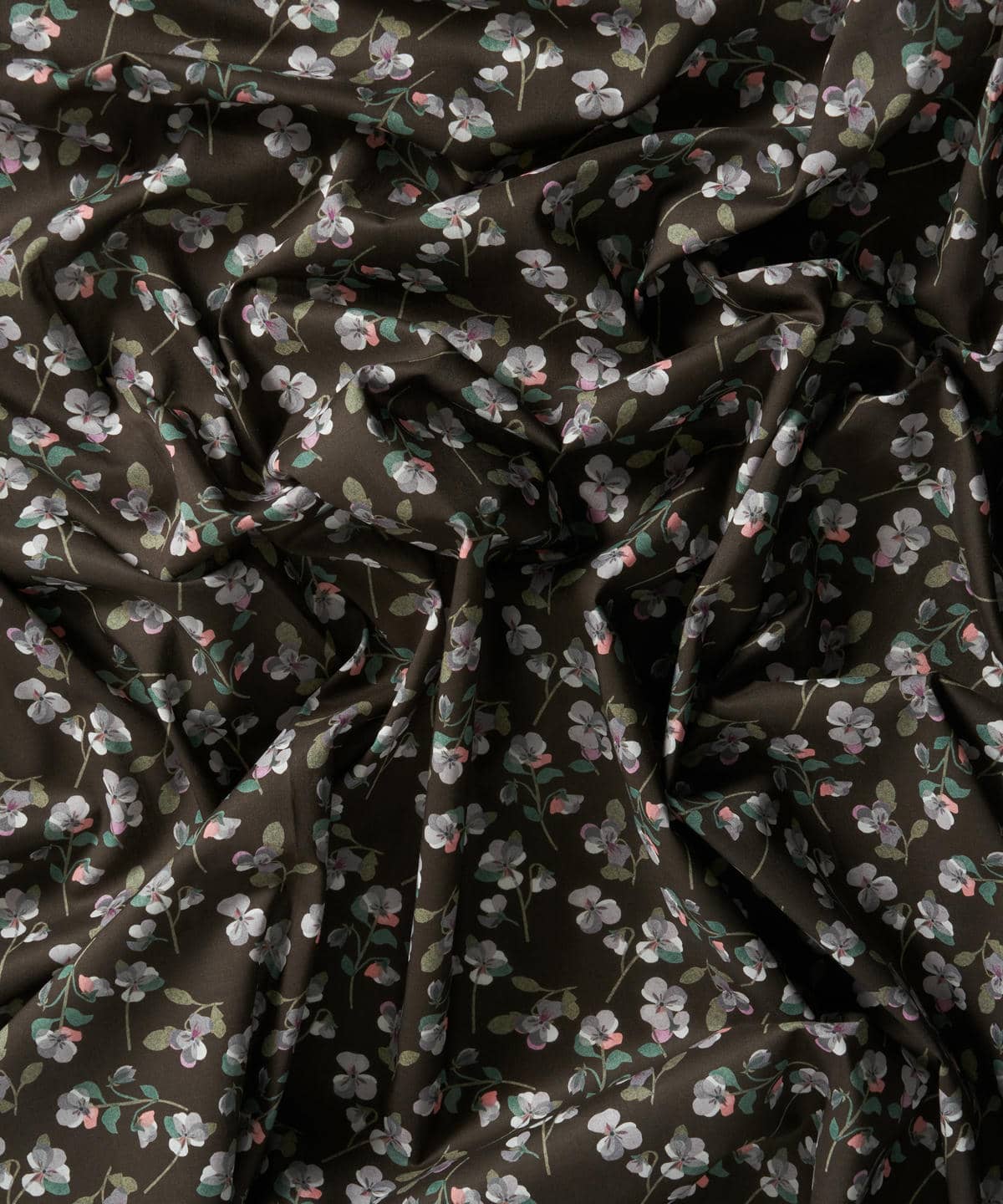 パンジー・スキャッター タナローン