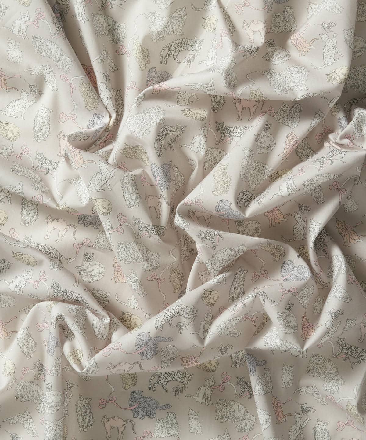 コー・アンド・エイト タナローン