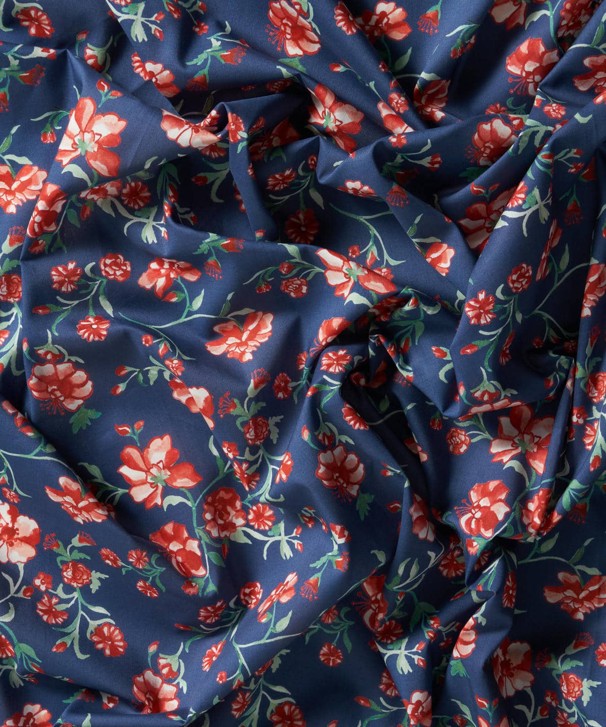 クリスティーナ・ヴァイン タナローン