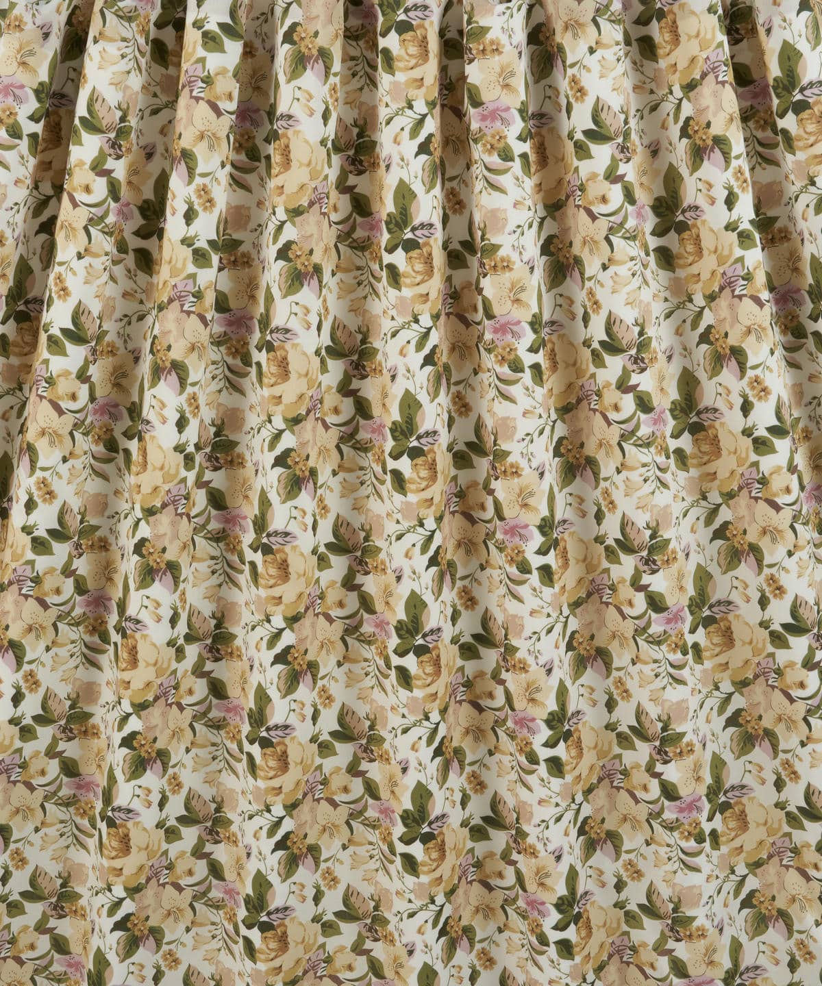 リリー・ローザ タナローン