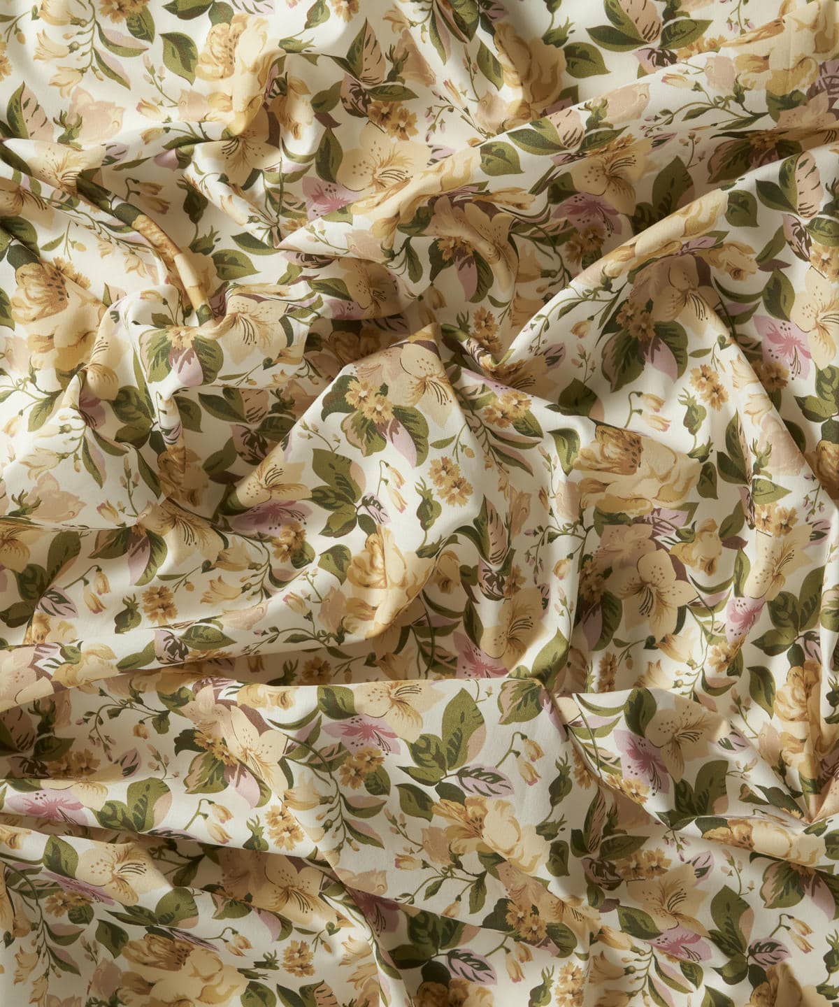 リリー・ローザ タナローン