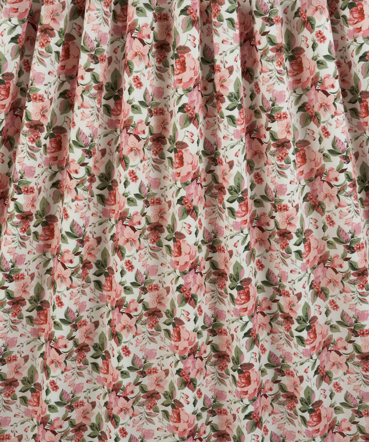 リリー・ローザ タナローン