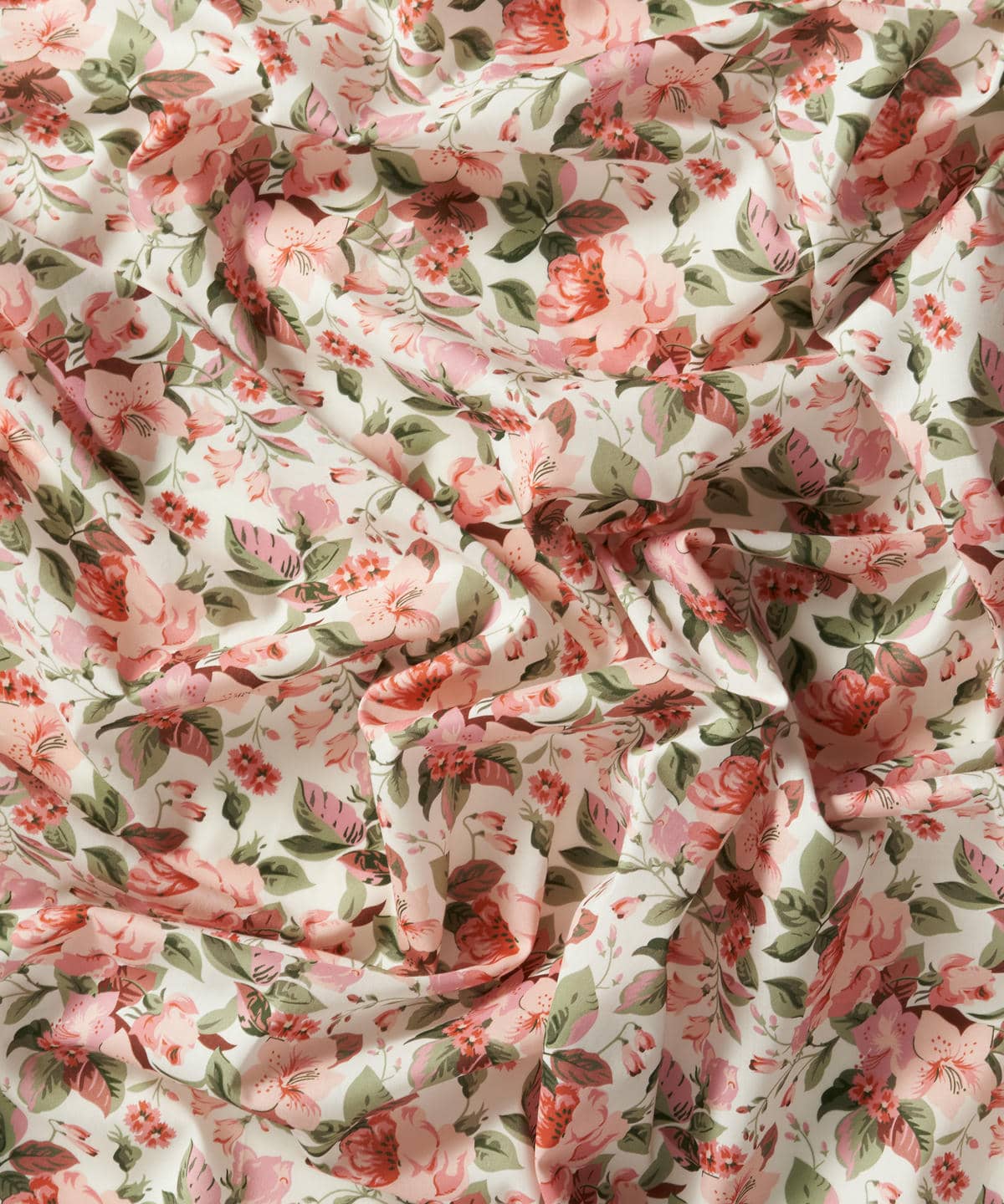 リリー・ローザ タナローン