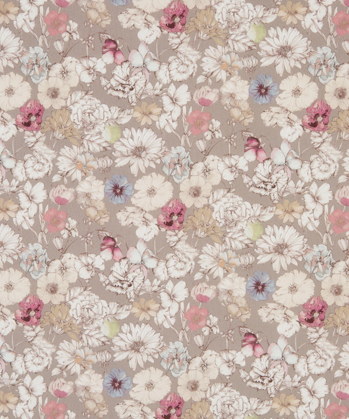 レスト・メドウ オーガニック・タナローン