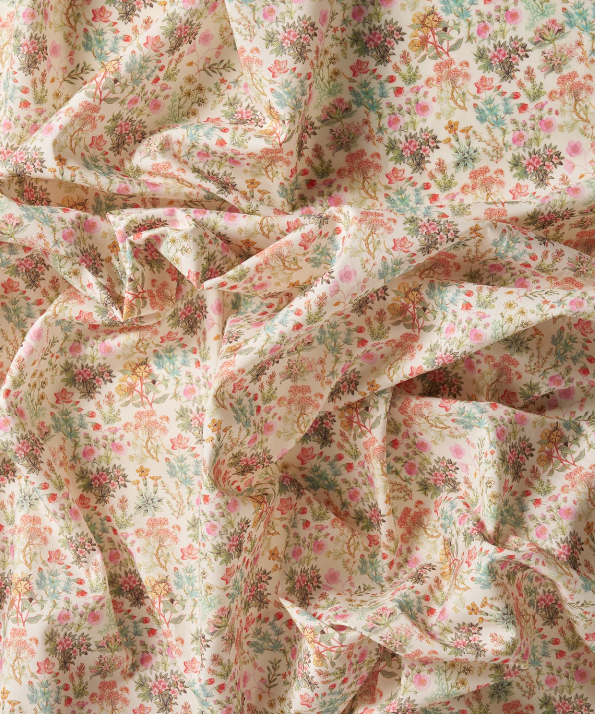 ケニルワース・キャッスル オーガニック・タナローン