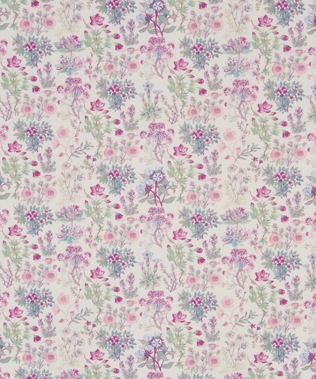 ケニルワース・キャッスル オーガニック・タナローン