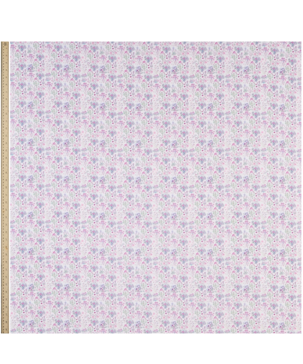 ケニルワース・キャッスル オーガニック・タナローン