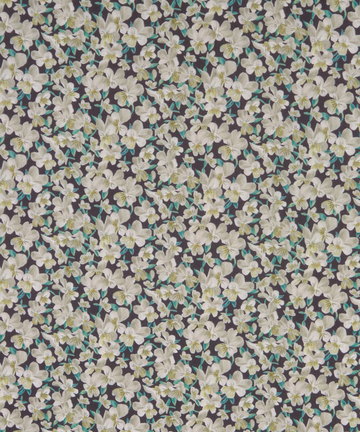 サマセット・パンジー オーガニック・タナローン