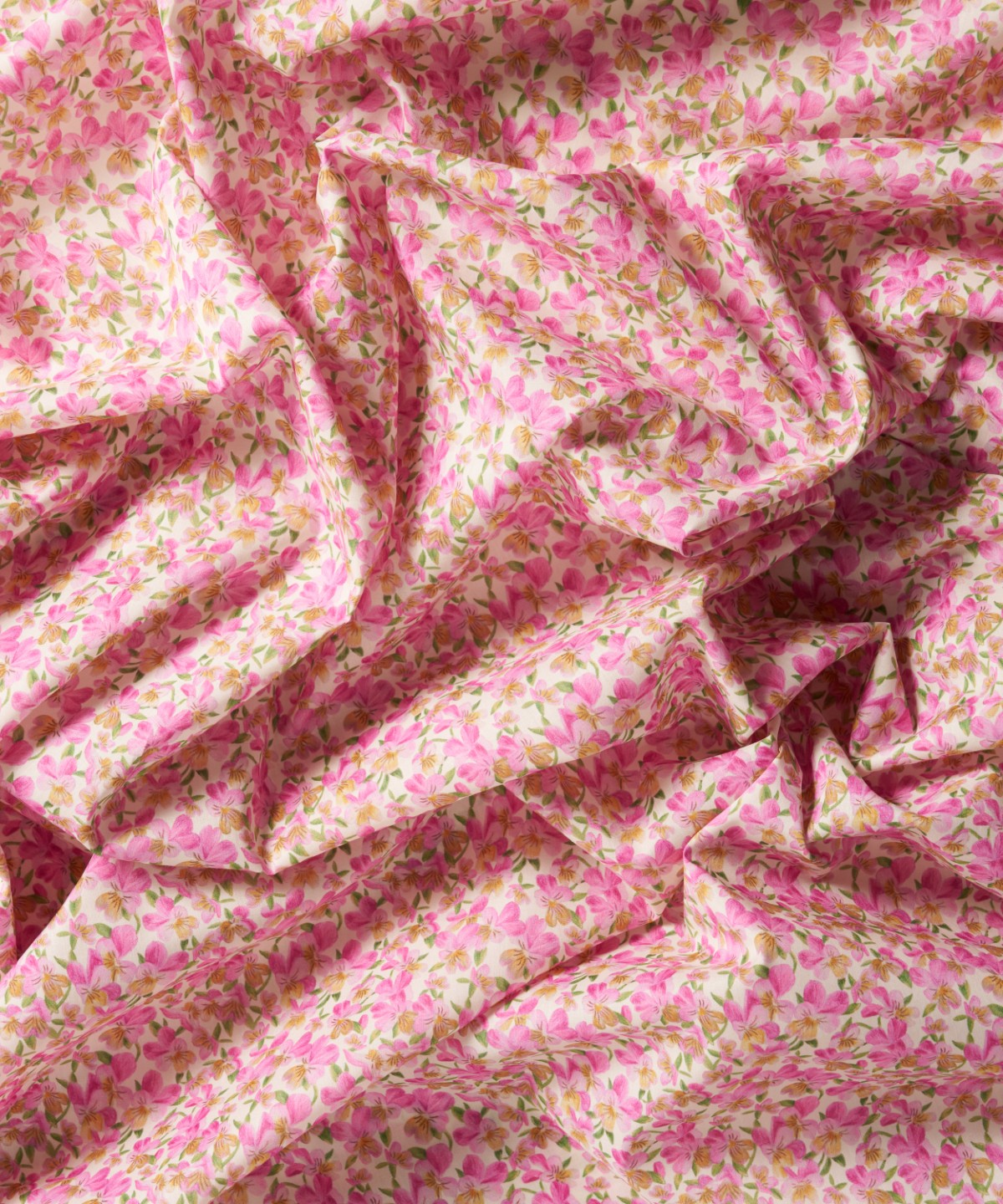 サマセット・パンジー オーガニック・タナローン