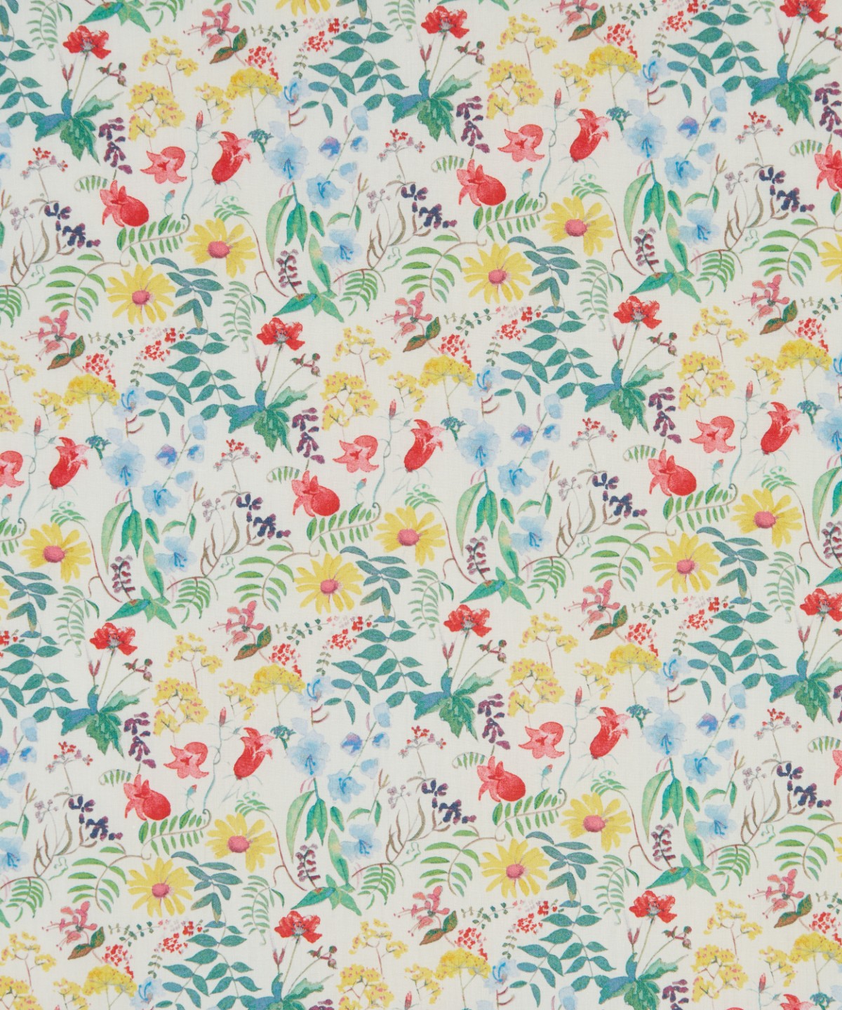 チャートウェル・ブルームス オーガニック・タナローン