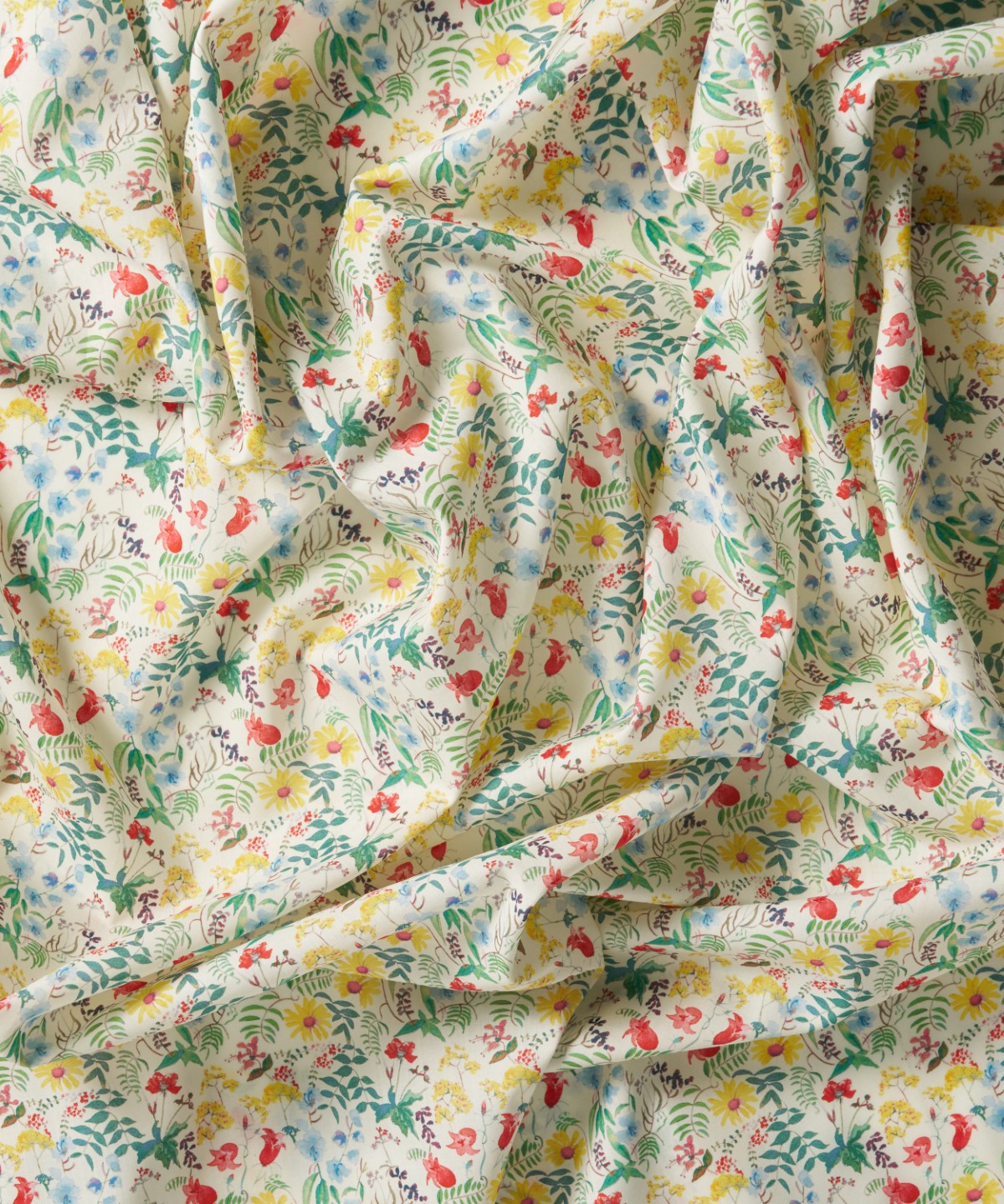 チャートウェル・ブルームス オーガニック・タナローン