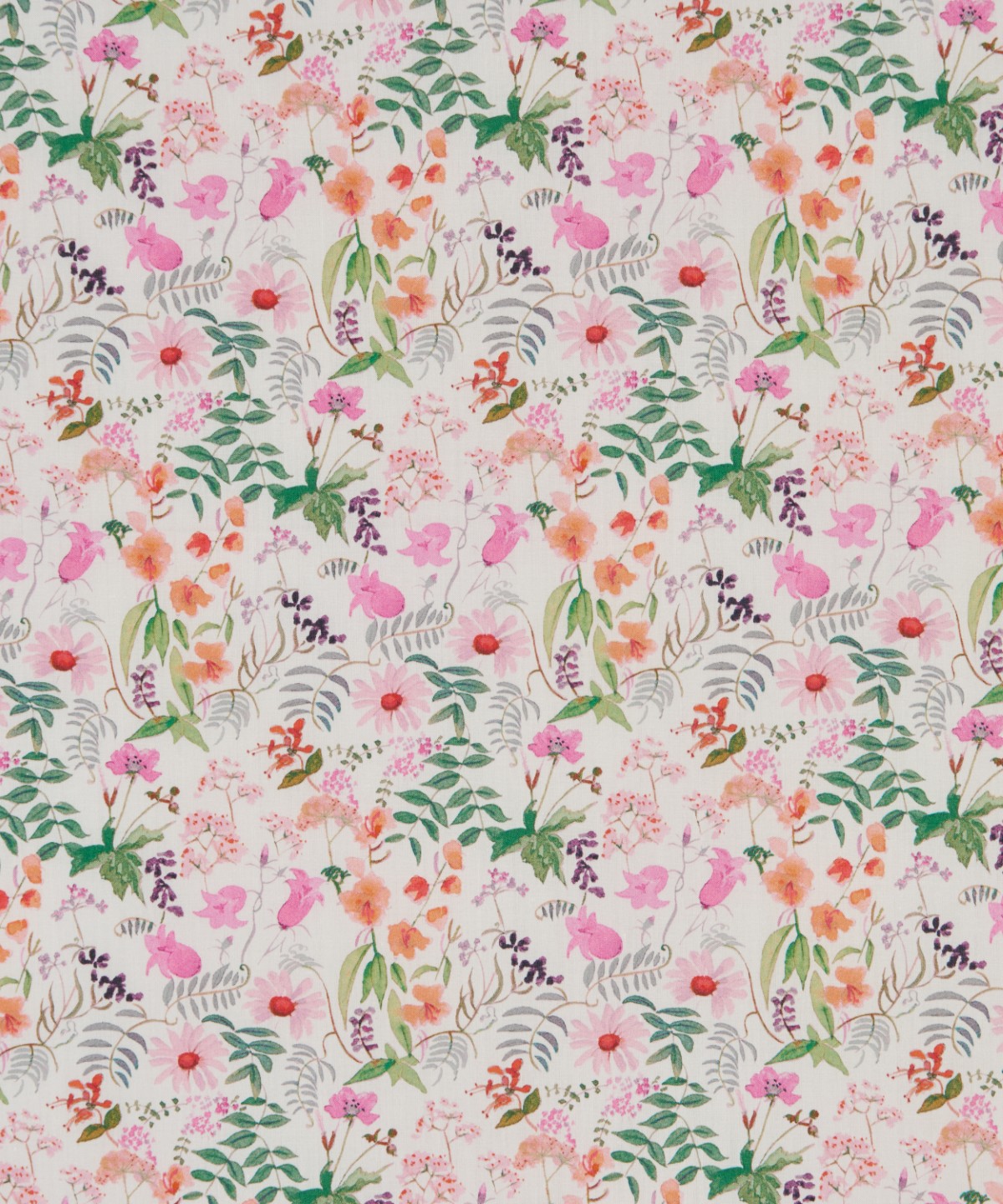 チャートウェル・ブルームス オーガニック・タナローン